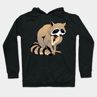 Cute Raccoon Hoodie